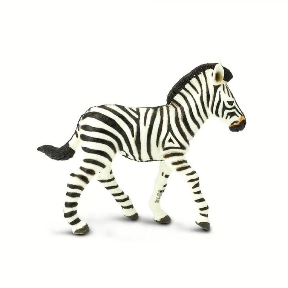 Safari  Zebra Foal Ζέβρα Πουλάρι