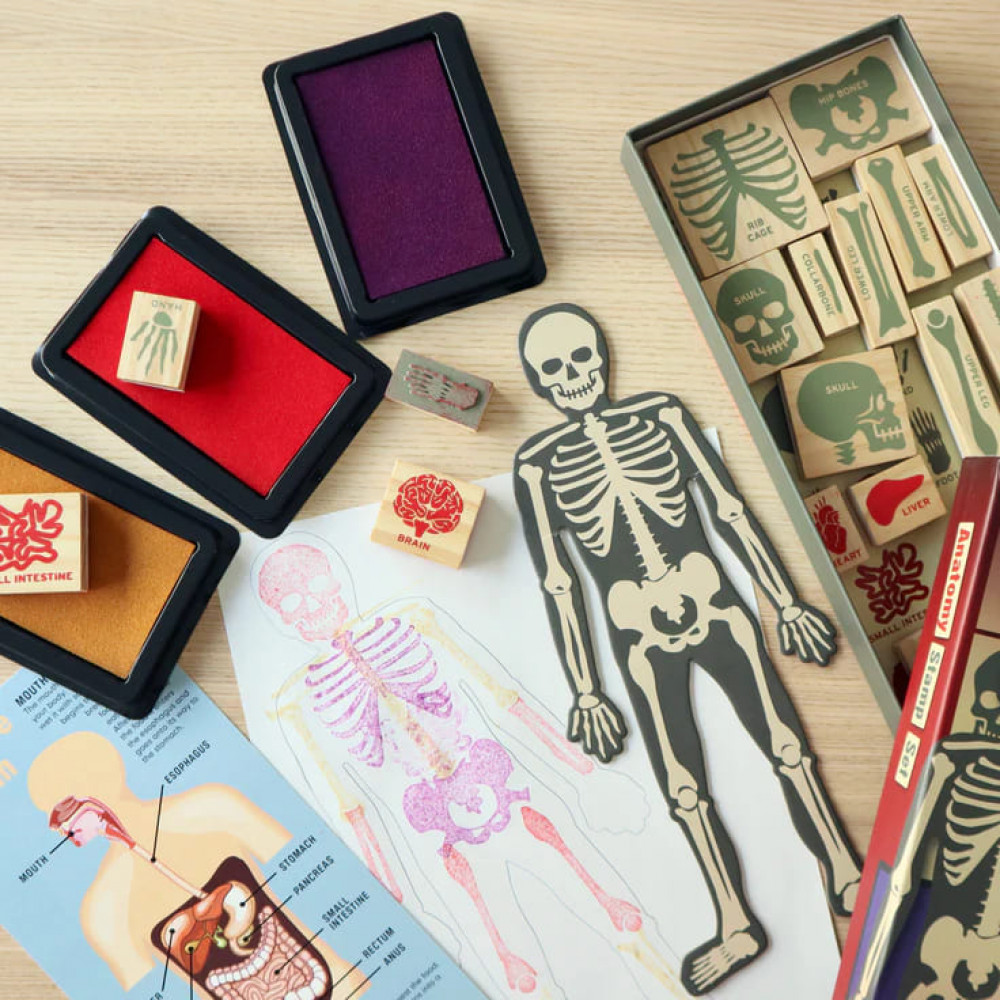 Kikkerland Anatomy Stamp Set Σετ Σφραγίδες (21τμχ)