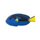 Safari Μινιατούρα Blue Tang Μπλε Τάνγκ