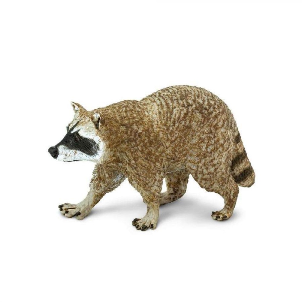 Safari Μινιατούρα Raccoon  Ρακούν