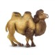 Safari Μινιατούρα Bactrian Camel Βακτριανή Καμήλα