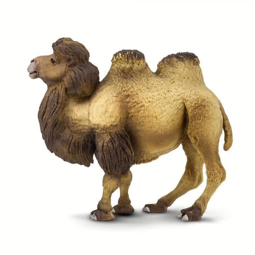 Safari Μινιατούρα Bactrian Camel Βακτριανή Καμήλα