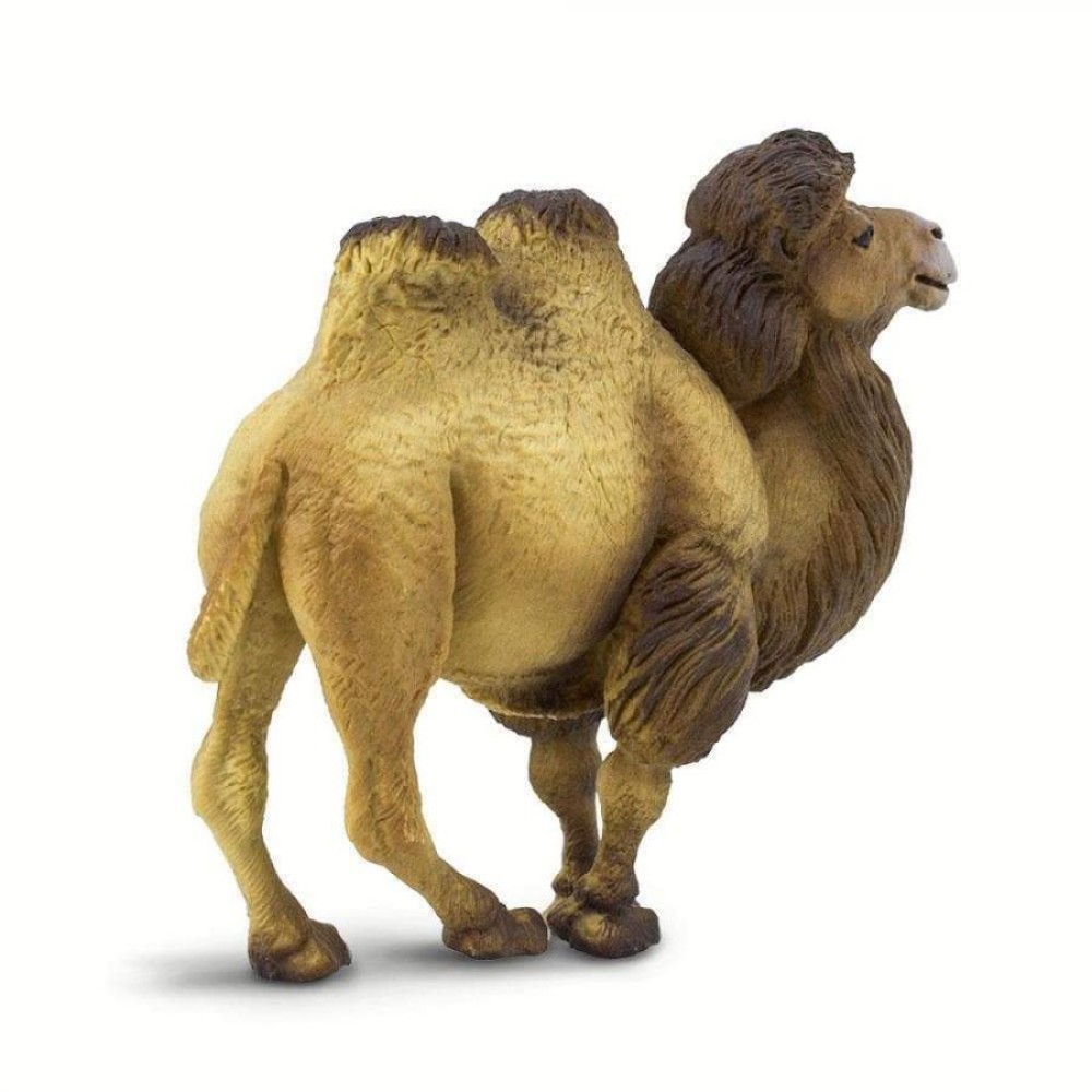 Safari Μινιατούρα Bactrian Camel Βακτριανή Καμήλα