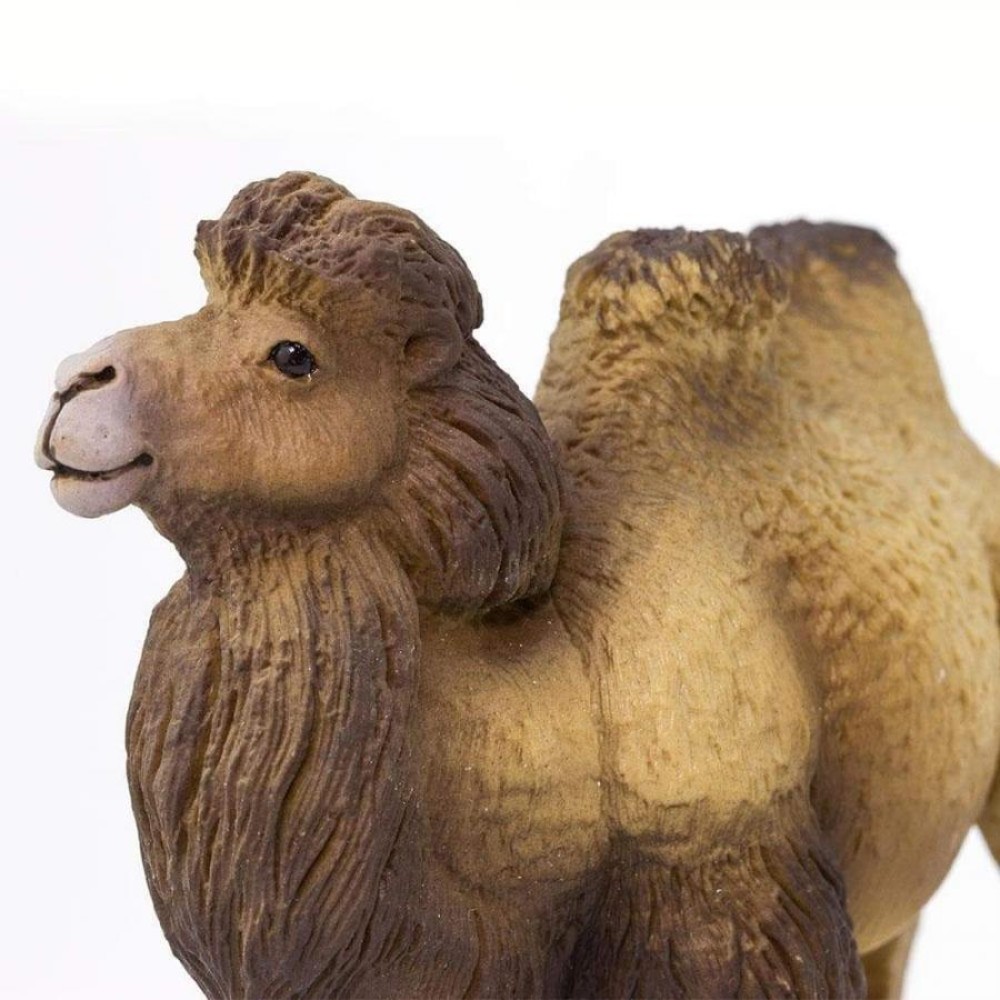 Safari Μινιατούρα Bactrian Camel Βακτριανή Καμήλα