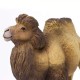 Safari Μινιατούρα Bactrian Camel Βακτριανή Καμήλα