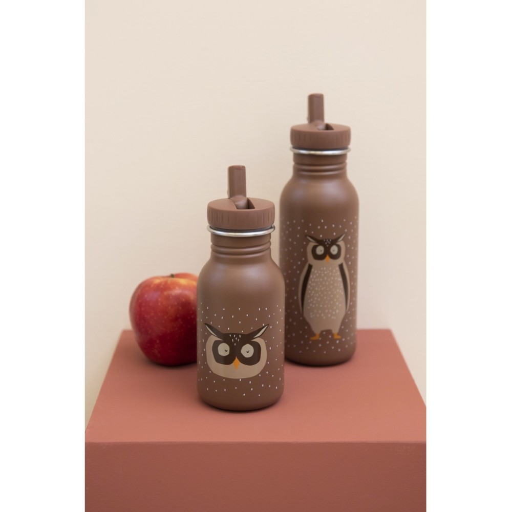 Trixie Mr. Owl Ανοξείδωτο Παγούρι 350ml