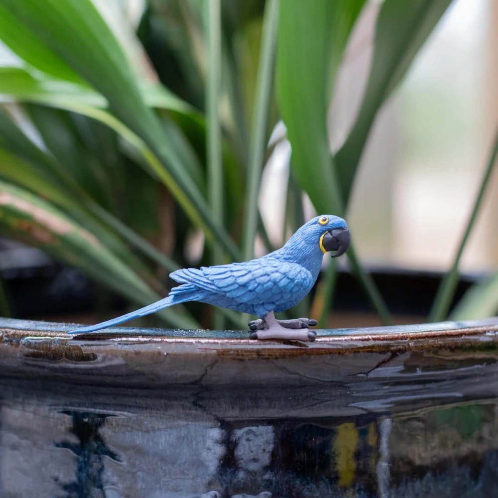 Safari Μινιατούρα Μακάο Υάκινθος Hyacinth Macaw