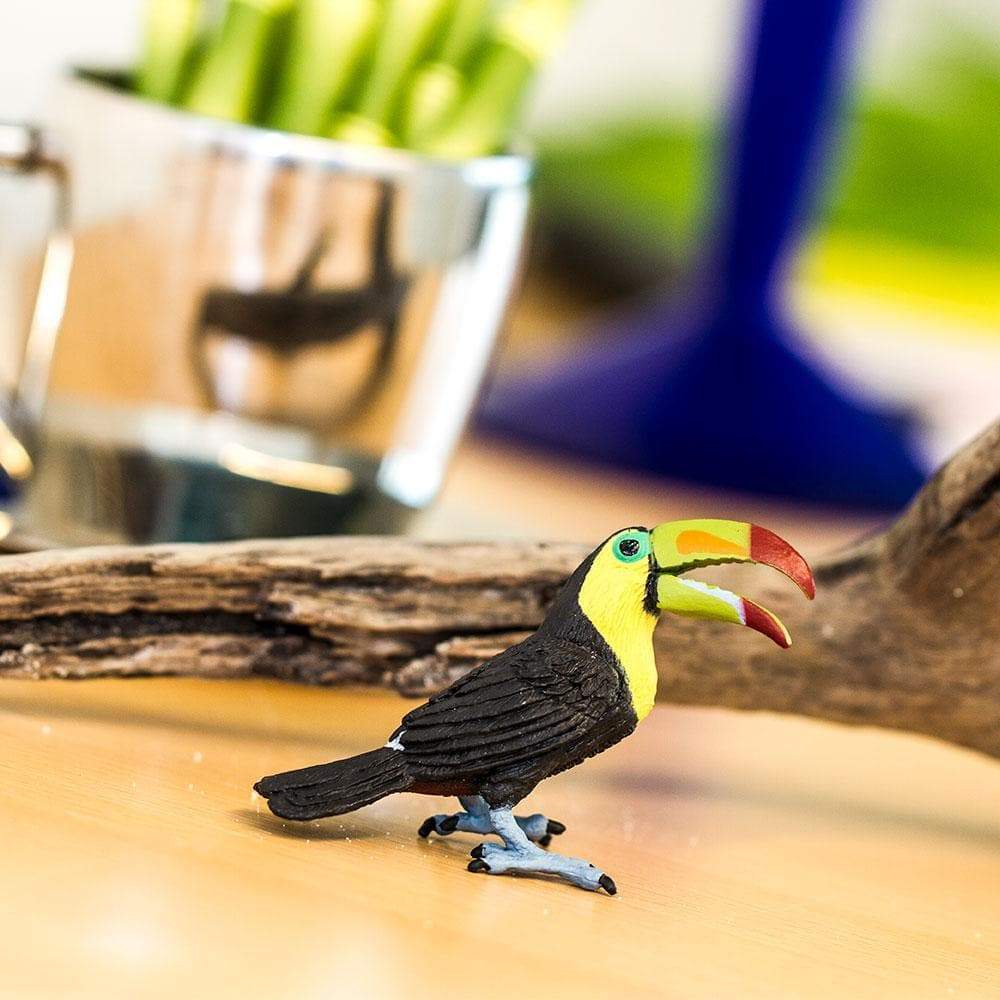 Safari Μινιατούρα Τουκάν Toucan