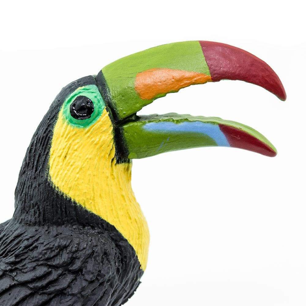 Safari Μινιατούρα Τουκάν Toucan