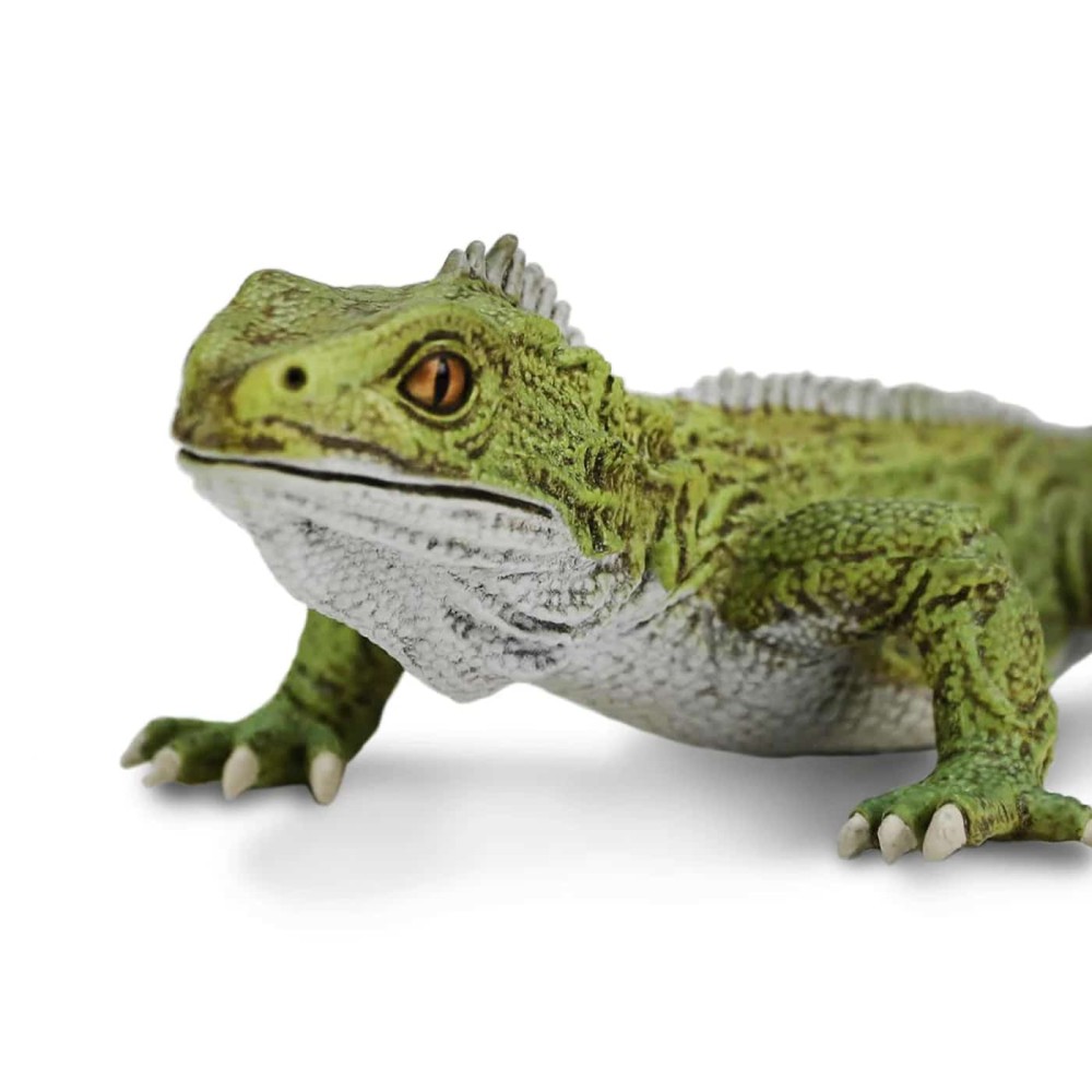 Safari Μινιατούρα Σαύρα Tuatara