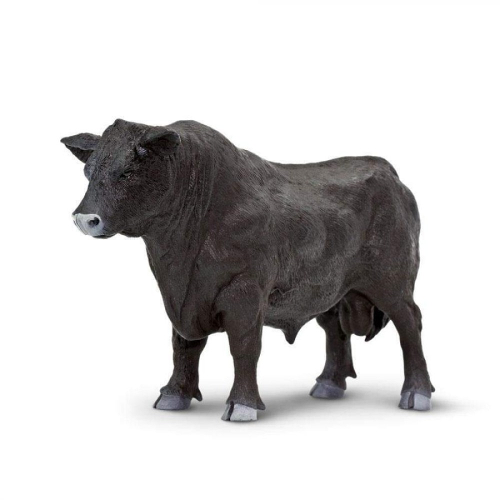 Safari Angus Bull Ταύρος Άνγκους