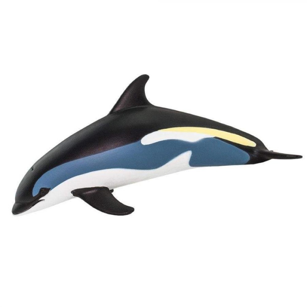 Safari Atlantic White-Sided Dolphin Δελφίνι Λευκής Όψης Ατλαντικ