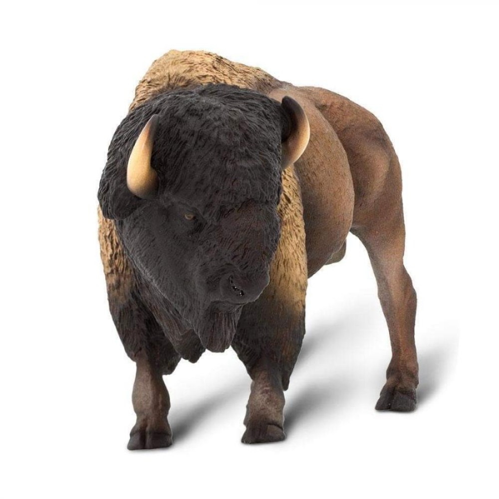 Safari Bison  Βίσονας