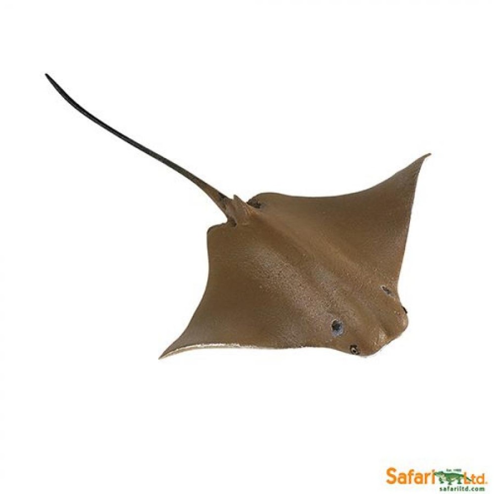 Safari Cownose Ray Σαλάχι Rhinoptera