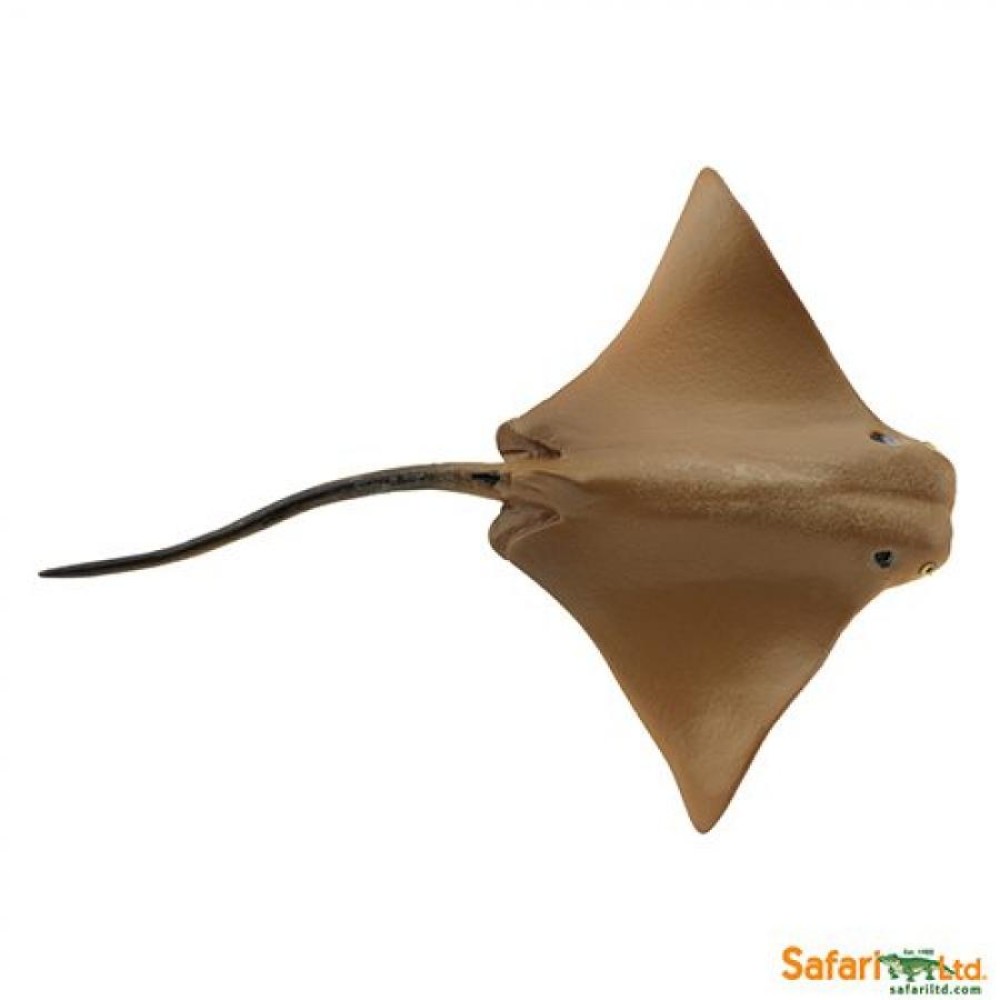 Safari Cownose Ray Σαλάχι Rhinoptera