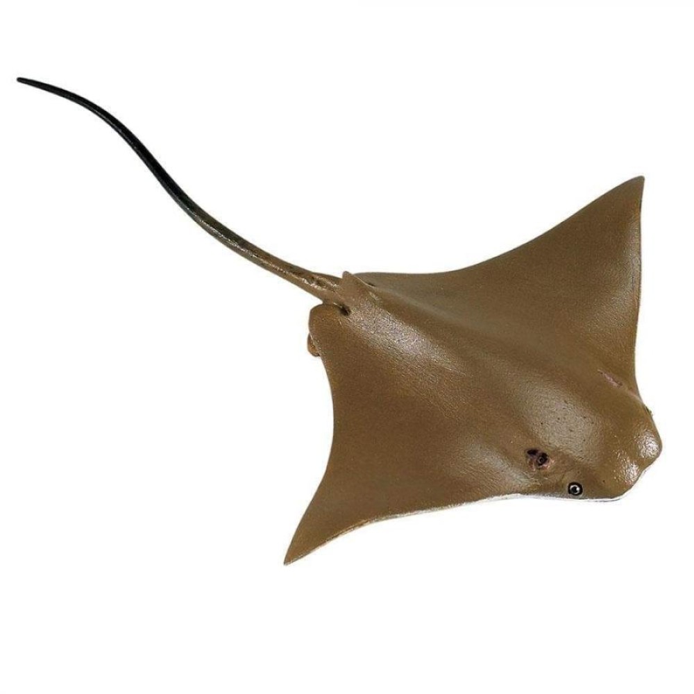 Safari Cownose Ray  Σαλάχι Rhinoptera