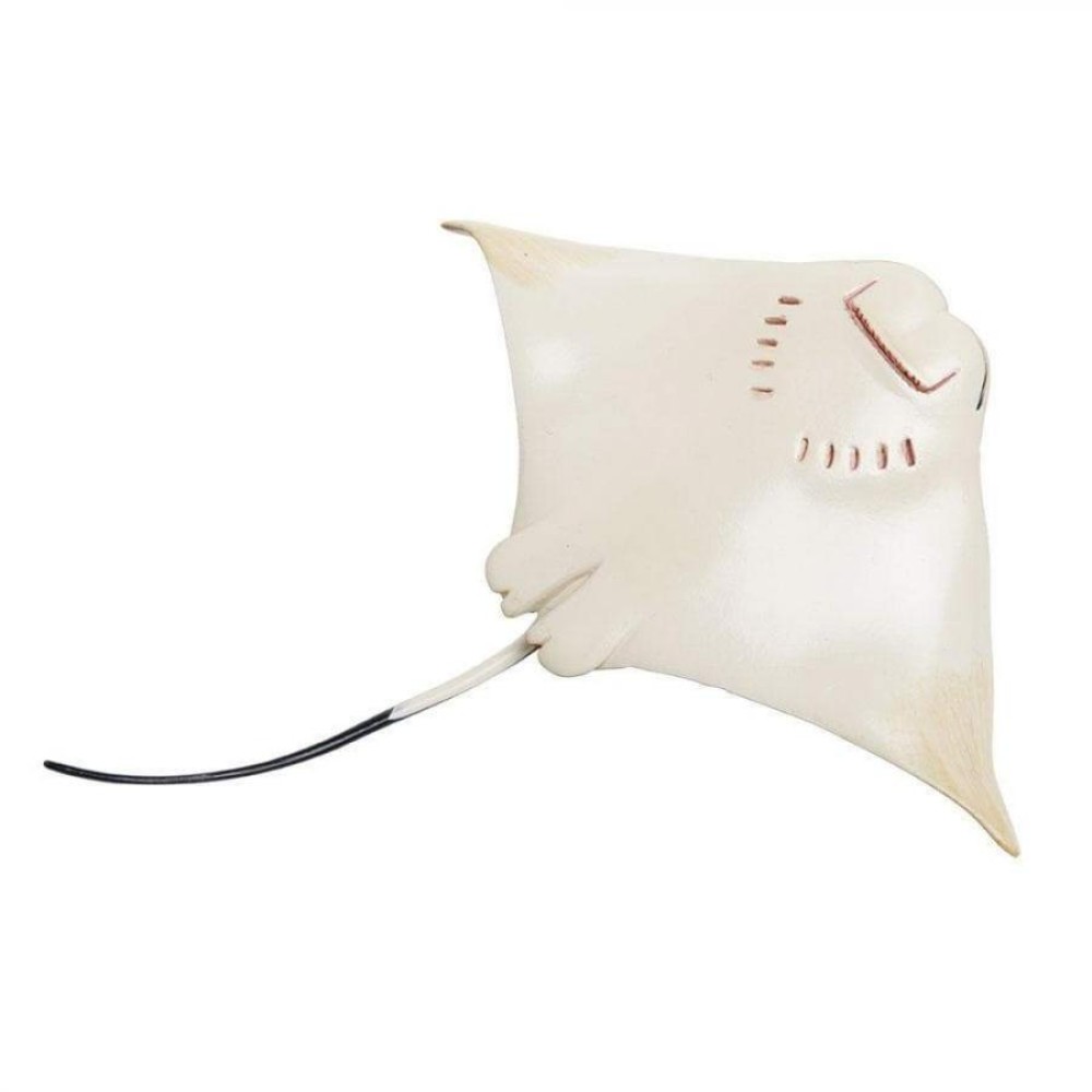 Safari Cownose Ray  Σαλάχι Rhinoptera