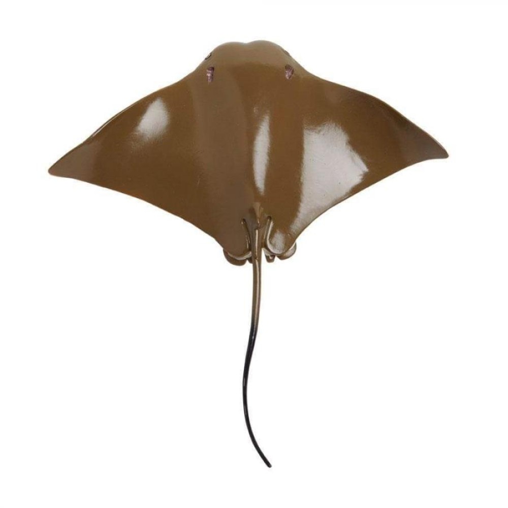 Safari Cownose Ray  Σαλάχι Rhinoptera