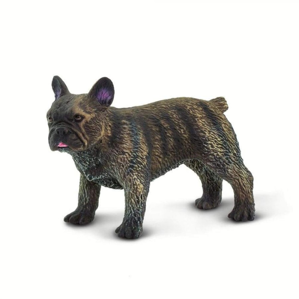 Safari French Bulldog Γαλλικό Bulldog