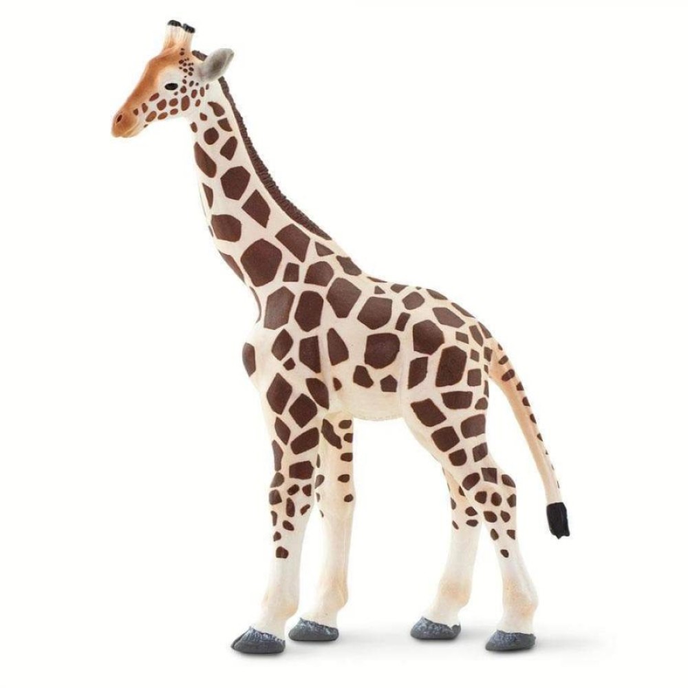 Safari Giraffe Καμηλοπάρδαλη