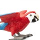 Safari Green winged Macaw Κοκκινοπράσινος Μακάο