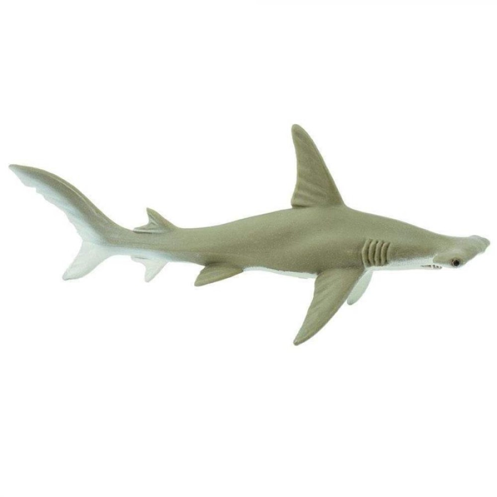 Safari Hammerhead Shark Σφυροκέφαλος Καρχαρίας