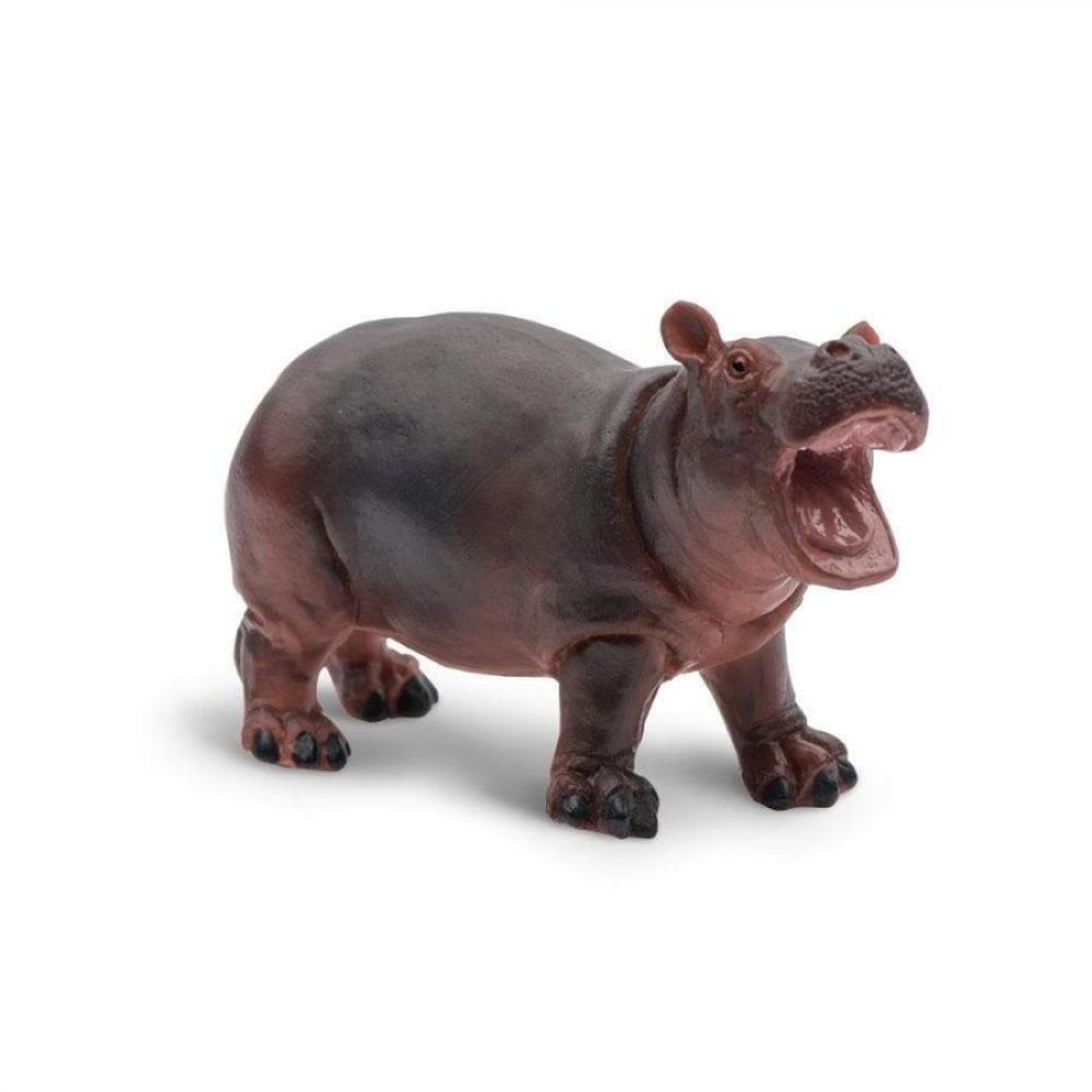 Safari Hippopotamus Baby Μωρό Ιπποπόταμος