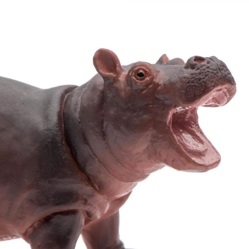 Safari Hippopotamus Baby Μωρό Ιπποπόταμος