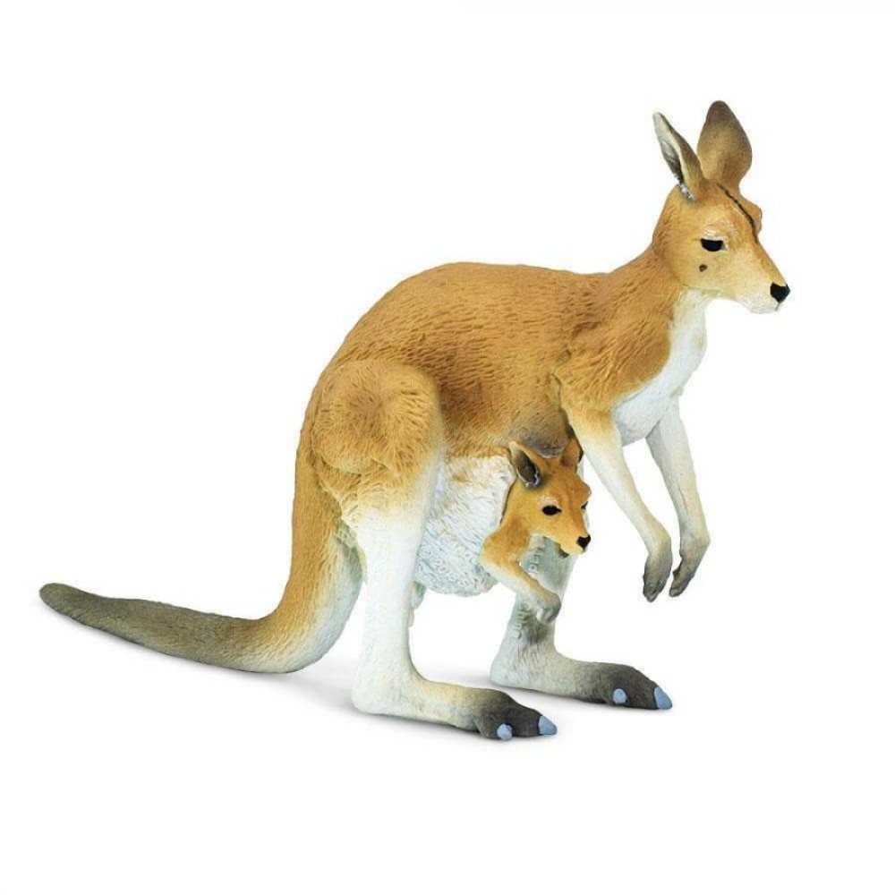 Safari Kangaroo With Joey  Καγκουρό με Μωρό