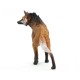 Safari Maned Wolf  Χαιτοφόρος Λύκος