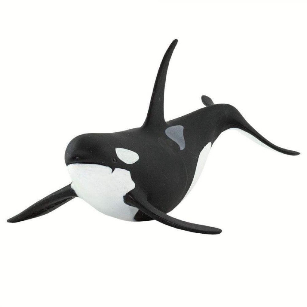 Safari Orca  Όρκα