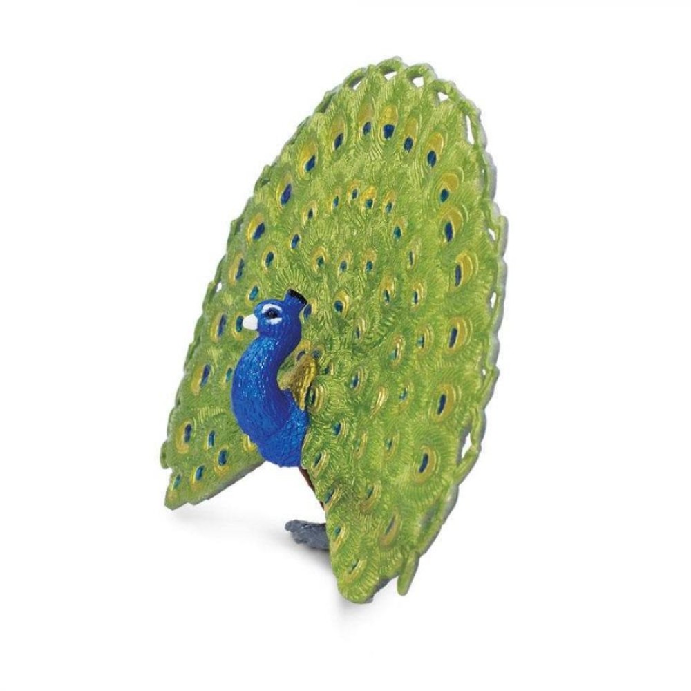 Safari Peacock Παγώνι