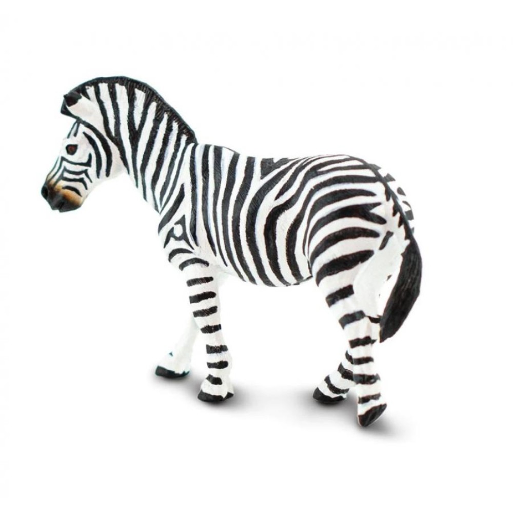 Safari  Plains Zebra  Κοινή Ζέβρα