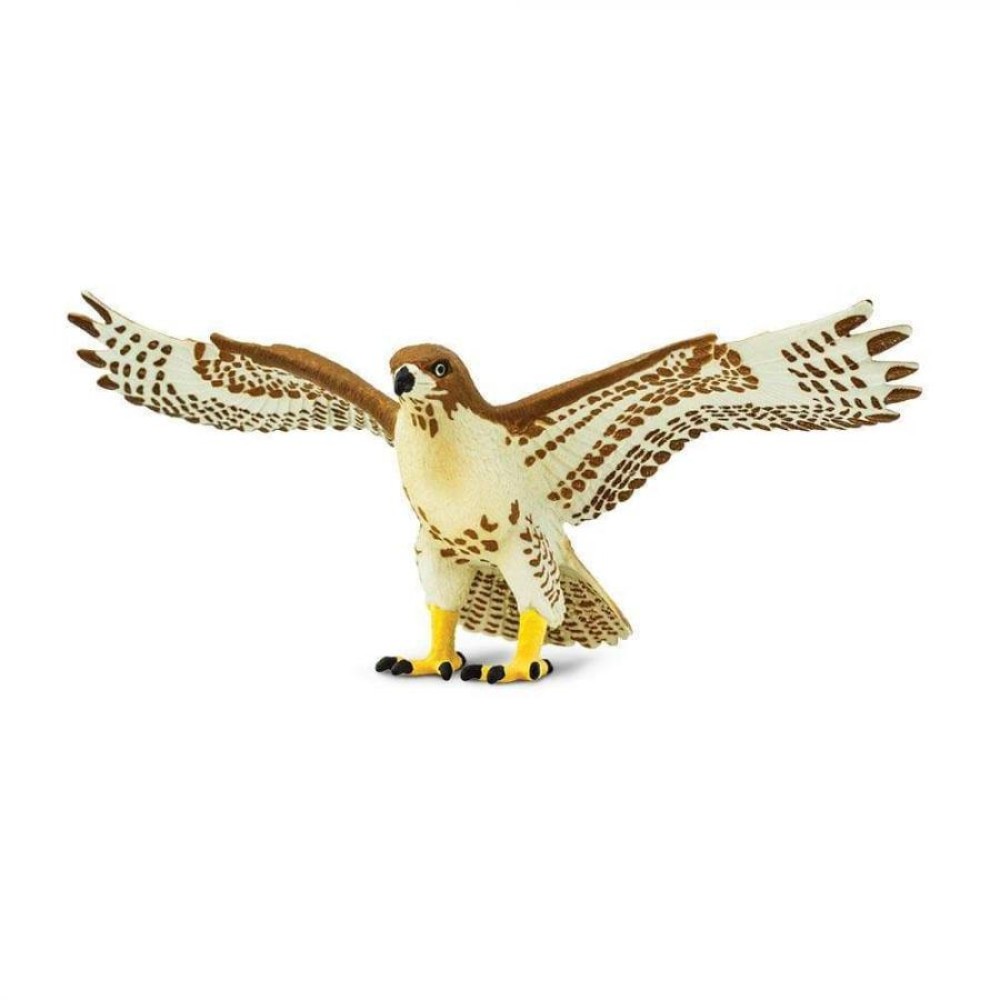 Safari  Red Tailed Hawk Αμερικανική Γερακίνα