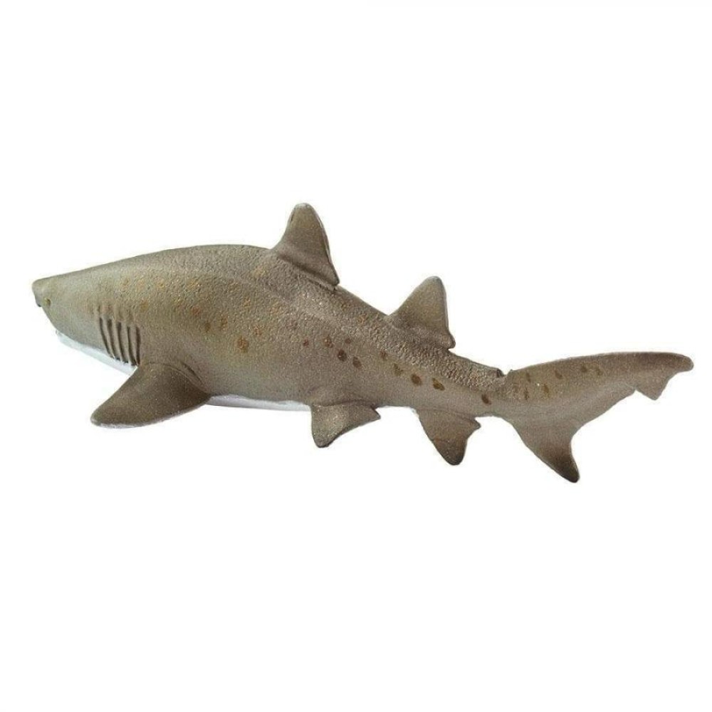 Safari Sand Tiger Shark Καρχαρίας Ταύρος