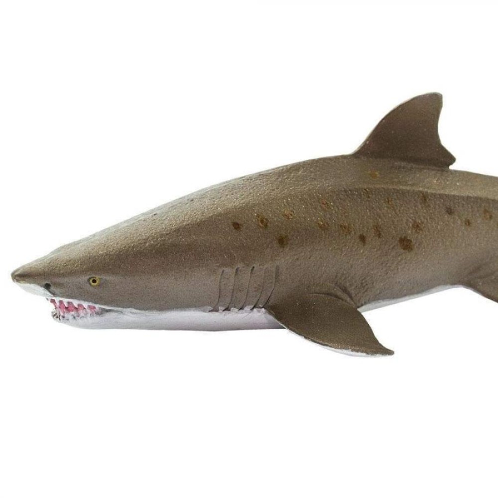 Safari Sand Tiger Shark Καρχαρίας Ταύρος