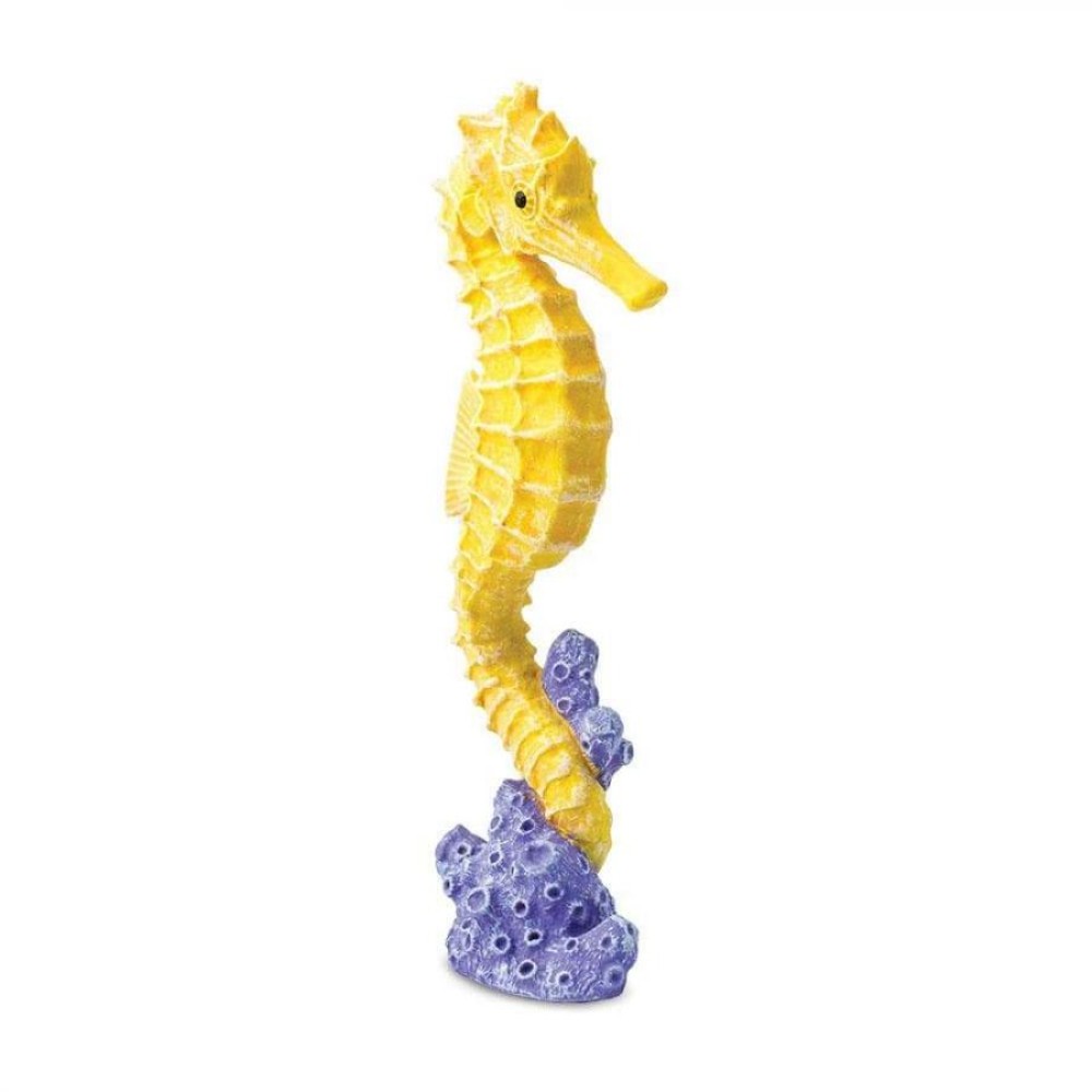 Safari Seahorse Ιππόκαμπος