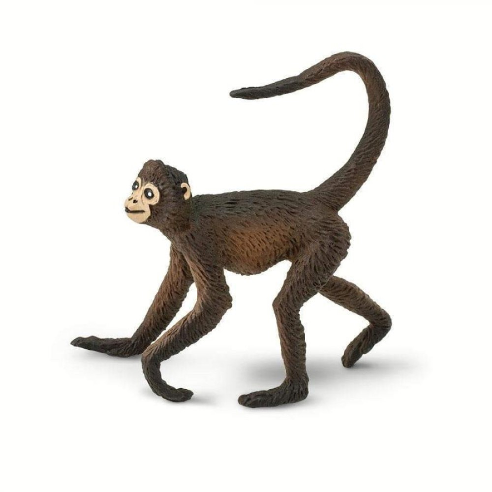 Safari Spider Monkey Ατελή Μαϊμού Αράχνη