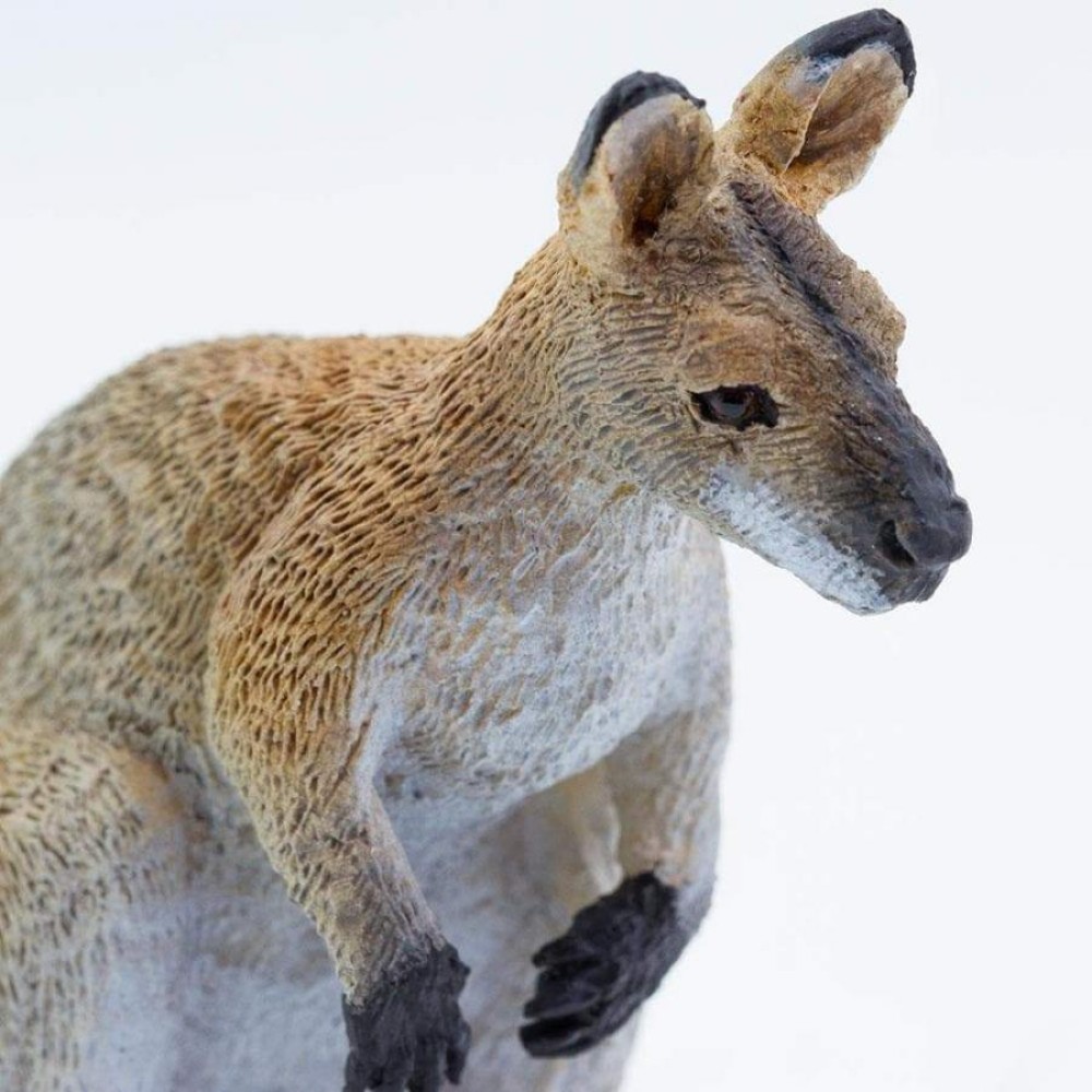 Safari Wallaby Γουάλαμπι