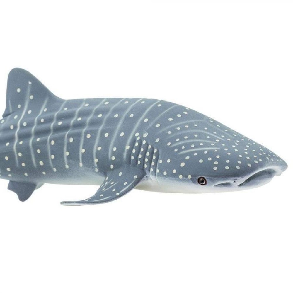 Safari Whale Shark Φαλαινοκαρχαρίας